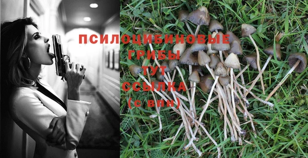 кокаин Бородино